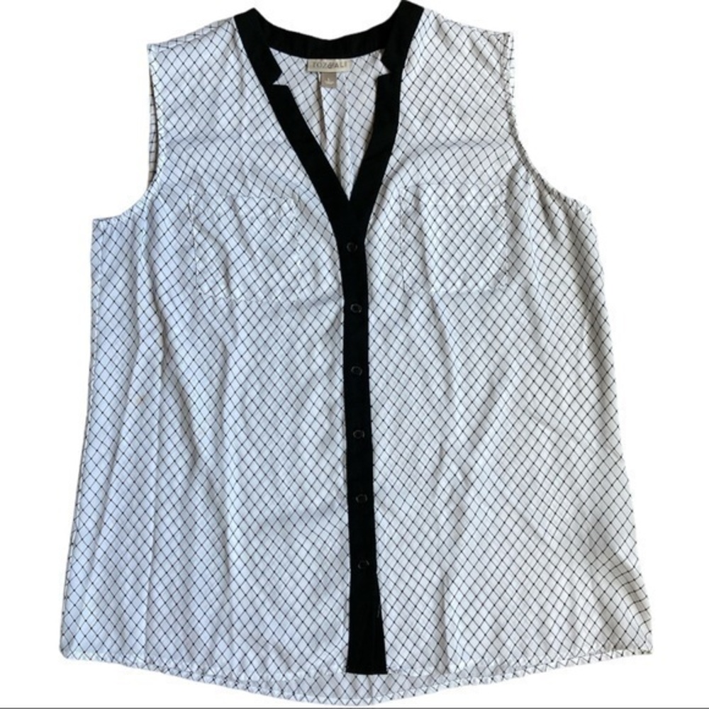 Ritz & Ali size Large sheer button up down blouse